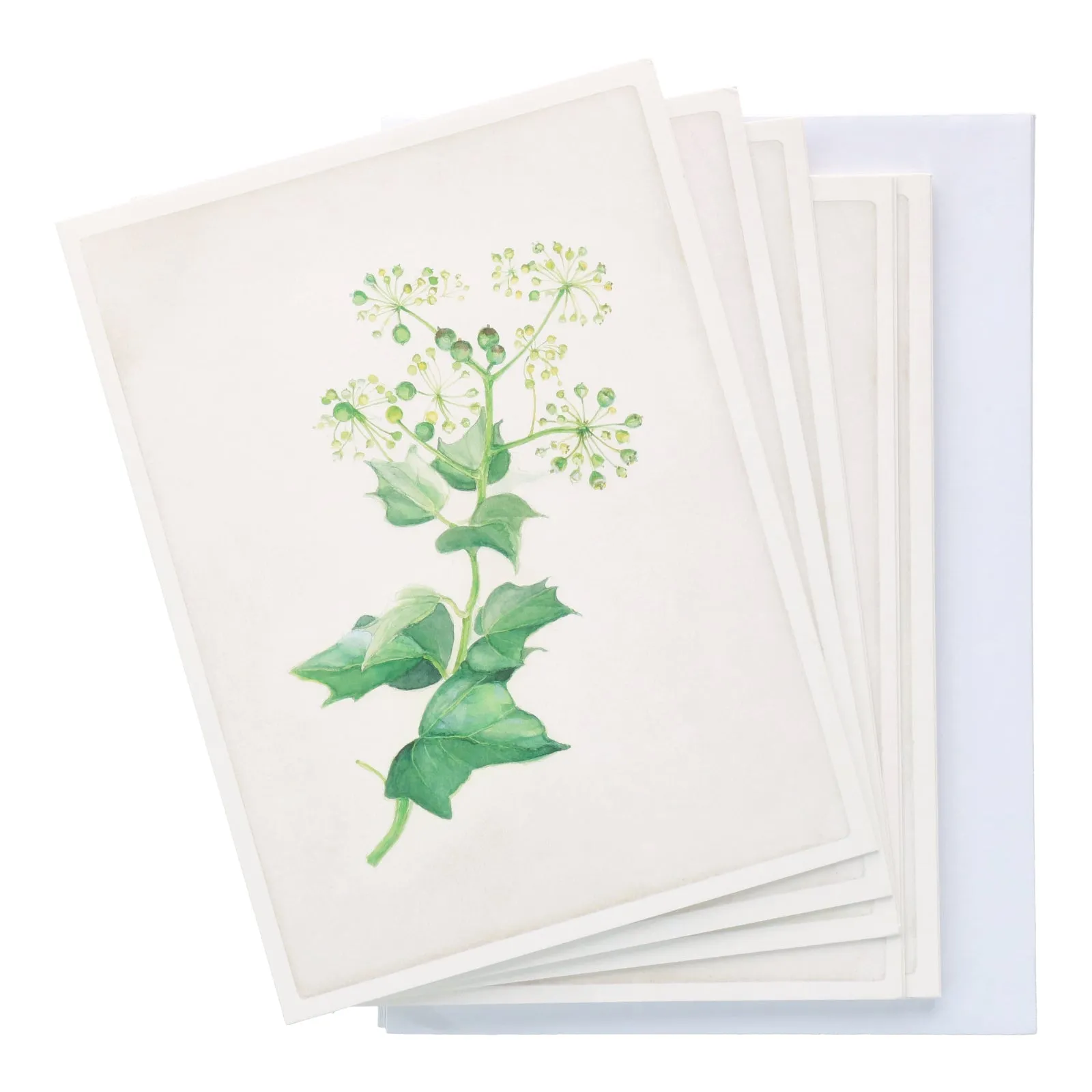 Floral Botanical Gift Card