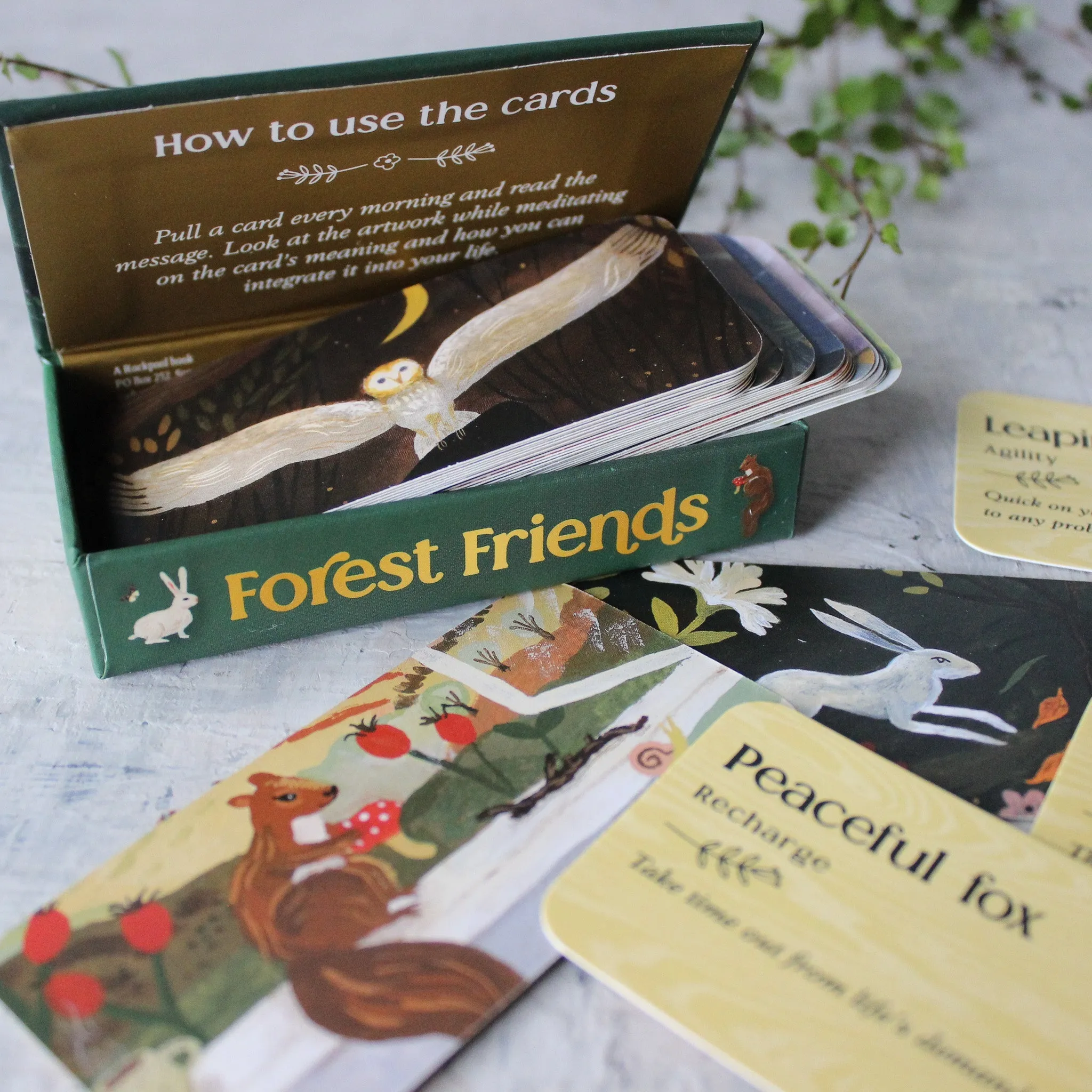 Forest Friends Inspiration Cards