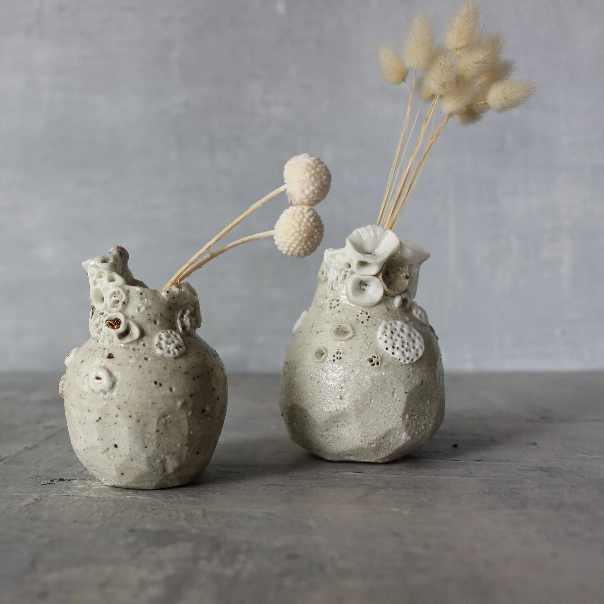 Little Rock Coral Vases