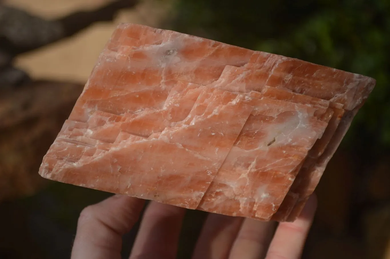 Natural Sunset Orange Calcite Specimen x 1 From Spitzkop, Namibia