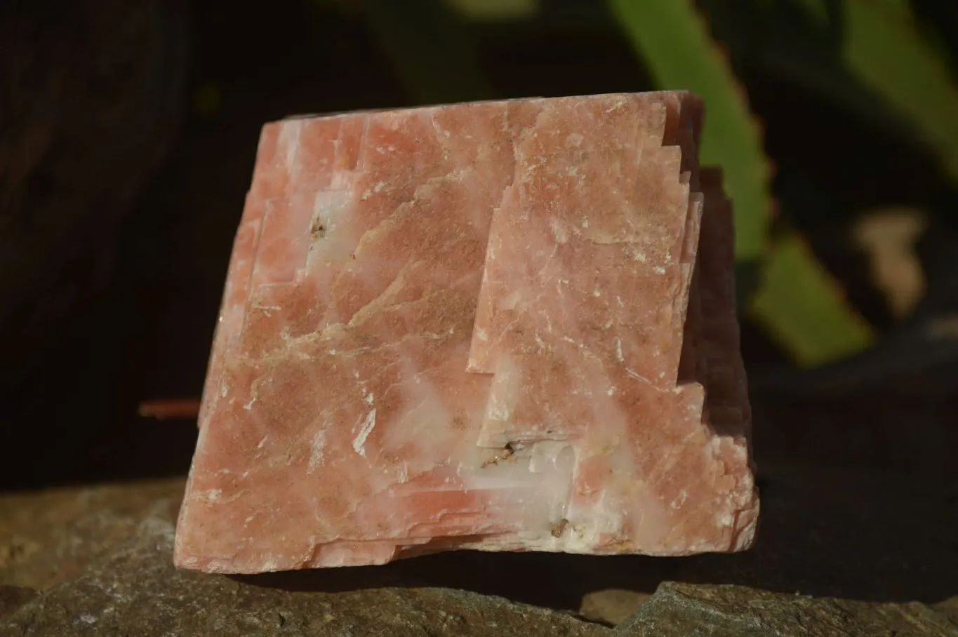 Natural Sunset Orange Calcite Specimen x 1 From Spitzkop, Namibia