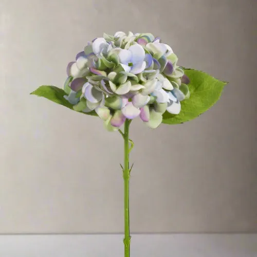 Pale Green and Purple Real Touch Hydrangea Stem 13" L