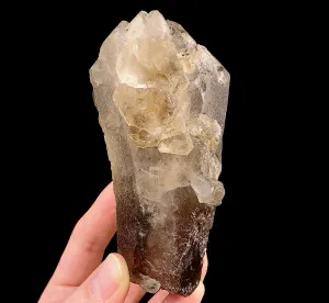 Raw WITCHES FINGER QUARTZ Crystal - Raw Rocks and Minerals, Home Decor, Unique Gift, 53268